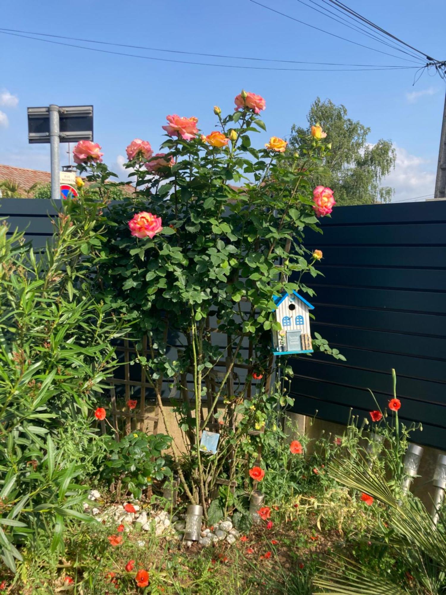 Au Calme Dans Maison En Rez De Jardin A 2,2 Kms Du Groupama Stadium Et Salle Ldlc Arena Meyzieu Zewnętrze zdjęcie
