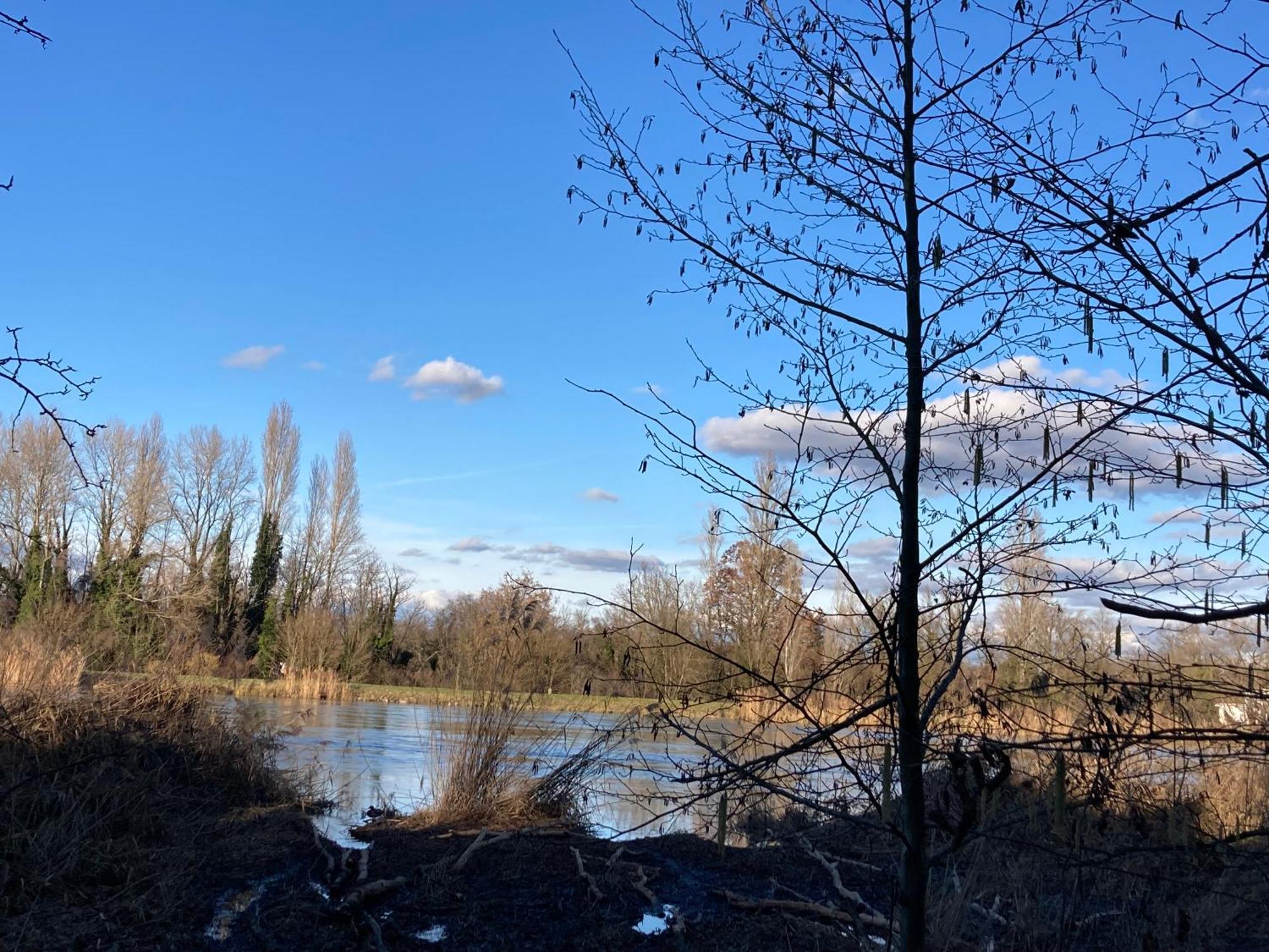Au Calme Dans Maison En Rez De Jardin A 2,2 Kms Du Groupama Stadium Et Salle Ldlc Arena Meyzieu Zewnętrze zdjęcie